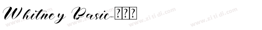 Whitney Basic字体转换